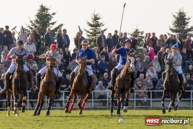 Zdjęcie w galerii na portalu naszraciborz.pl: Wielkanocny festyn konny w Pietrowicach Wielkich wiadomości z regionu