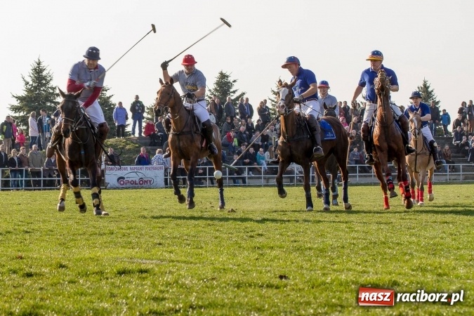 Zdjęcie w galerii na portalu naszraciborz.pl: Wielkanocny festyn konny w Pietrowicach Wielkich wiadomości z regionu