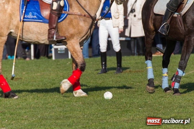 Zdjęcie w galerii na portalu naszraciborz.pl: Wielkanocny festyn konny w Pietrowicach Wielkich wiadomości z regionu