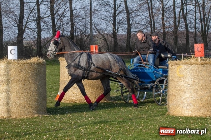 Zdjęcie w galerii na portalu naszraciborz.pl: Wielkanocny festyn konny w Pietrowicach Wielkich wiadomości z regionu