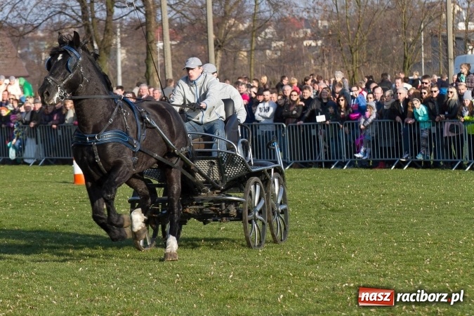 Zdjęcie w galerii na portalu naszraciborz.pl: Wielkanocny festyn konny w Pietrowicach Wielkich wiadomości z regionu