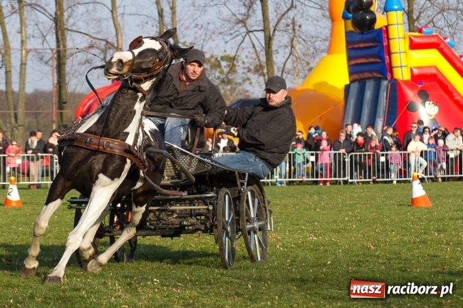 Zdjęcie w galerii na portalu naszraciborz.pl: Wielkanocny festyn konny w Pietrowicach Wielkich wiadomości z regionu