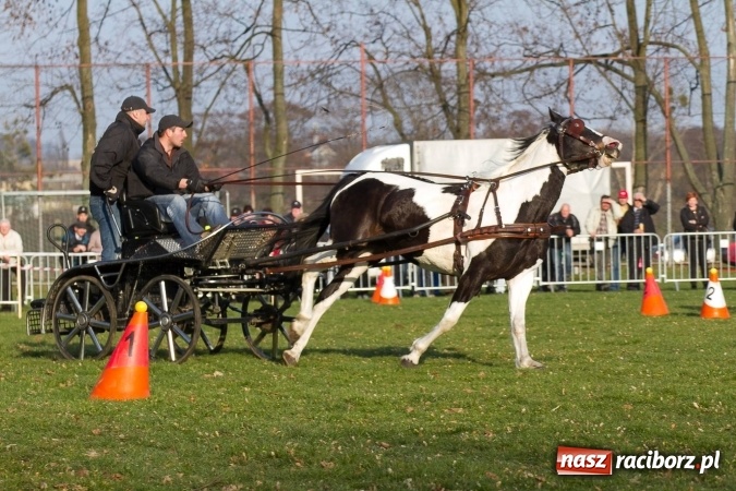 Zdjęcie w galerii na portalu naszraciborz.pl: Wielkanocny festyn konny w Pietrowicach Wielkich wiadomości z regionu