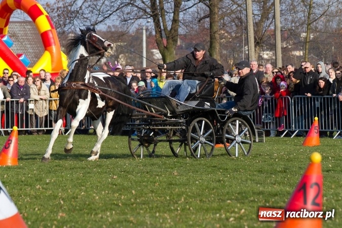 Zdjęcie w galerii na portalu naszraciborz.pl: Wielkanocny festyn konny w Pietrowicach Wielkich wiadomości z regionu