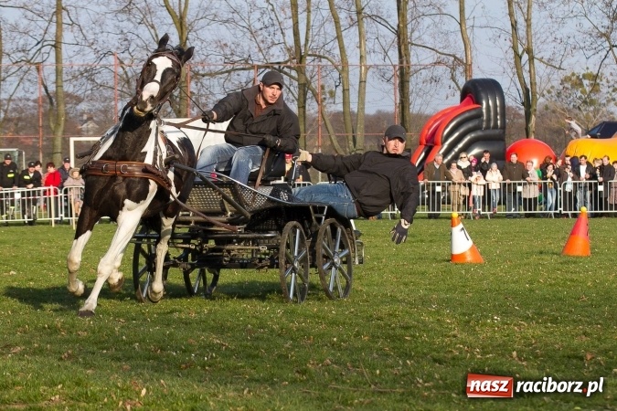 Zdjęcie w galerii na portalu naszraciborz.pl: Wielkanocny festyn konny w Pietrowicach Wielkich wiadomości z regionu