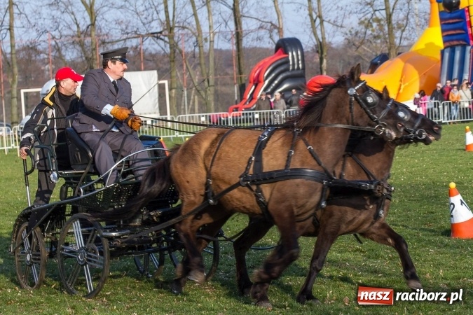Zdjęcie w galerii na portalu naszraciborz.pl: Wielkanocny festyn konny w Pietrowicach Wielkich wiadomości z regionu