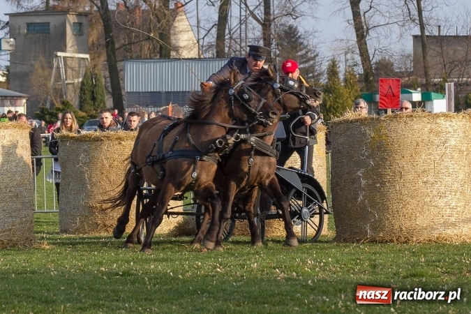 Zdjęcie w galerii na portalu naszraciborz.pl: Wielkanocny festyn konny w Pietrowicach Wielkich wiadomości z regionu