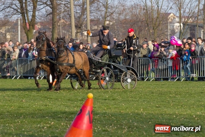 Zdjęcie w galerii na portalu naszraciborz.pl: Wielkanocny festyn konny w Pietrowicach Wielkich wiadomości z regionu