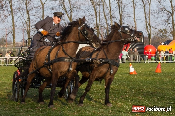 Zdjęcie w galerii na portalu naszraciborz.pl: Wielkanocny festyn konny w Pietrowicach Wielkich wiadomości z regionu