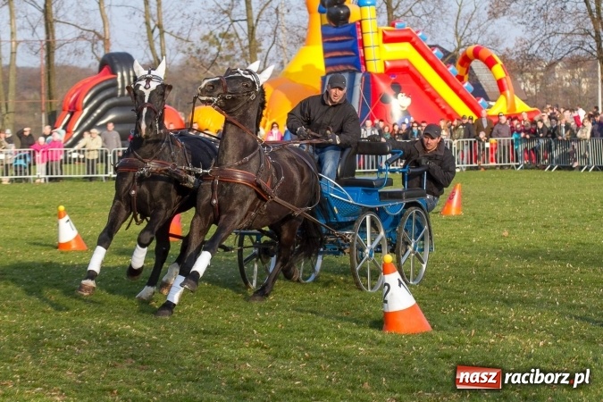 Zdjęcie w galerii na portalu naszraciborz.pl: Wielkanocny festyn konny w Pietrowicach Wielkich wiadomości z regionu