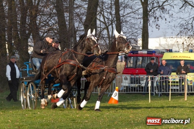 Zdjęcie w galerii na portalu naszraciborz.pl: Wielkanocny festyn konny w Pietrowicach Wielkich wiadomości z regionu