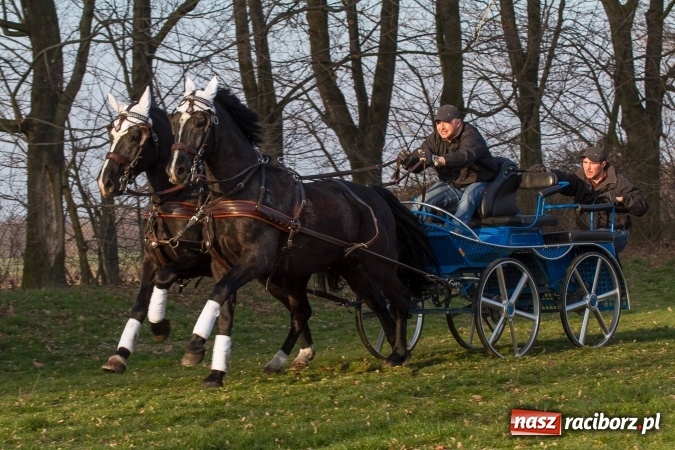 Zdjęcie w galerii na portalu naszraciborz.pl: Wielkanocny festyn konny w Pietrowicach Wielkich wiadomości z regionu