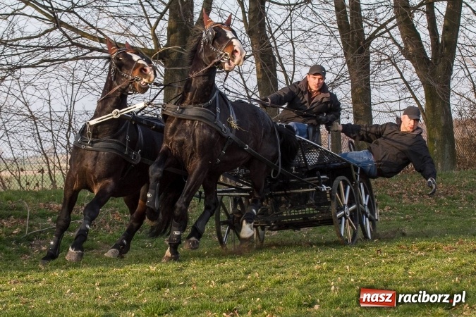 Zdjęcie w galerii na portalu naszraciborz.pl: Wielkanocny festyn konny w Pietrowicach Wielkich wiadomości z regionu