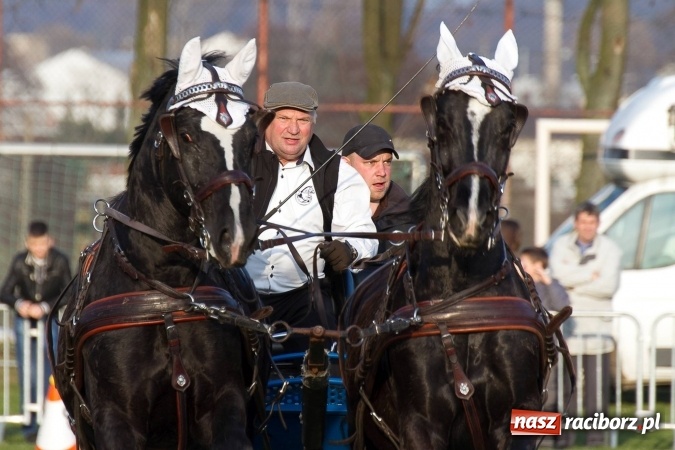 Zdjęcie w galerii na portalu naszraciborz.pl: Wielkanocny festyn konny w Pietrowicach Wielkich wiadomości z regionu