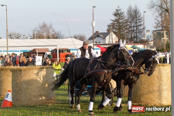 Zdjęcie w galerii na portalu naszraciborz.pl: Wielkanocny festyn konny w Pietrowicach Wielkich wiadomości z regionu