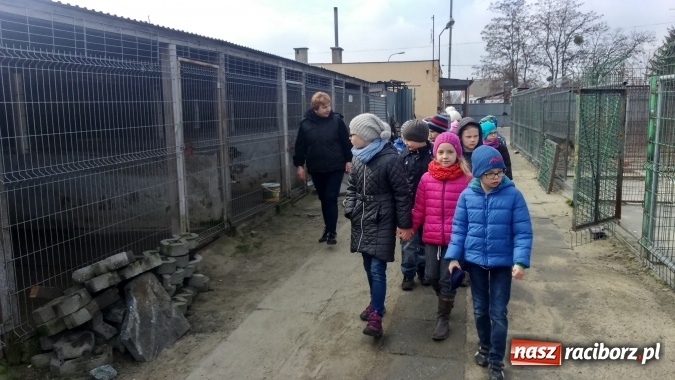 Zdjęcie w galerii na portalu naszraciborz.pl: Pamiętajmy o milusińskich przez cały rok! Wizyta uczniów ZSP nr 3 w raciborskim schronisku  wiadomości z regionu