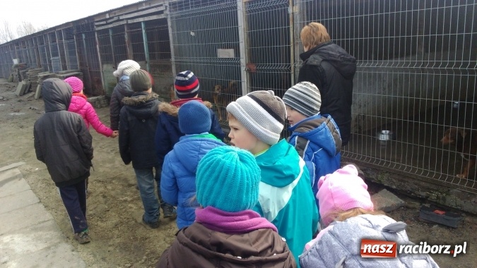 Zdjęcie w galerii na portalu naszraciborz.pl: Pamiętajmy o milusińskich przez cały rok! Wizyta uczniów ZSP nr 3 w raciborskim schronisku  wiadomości z regionu