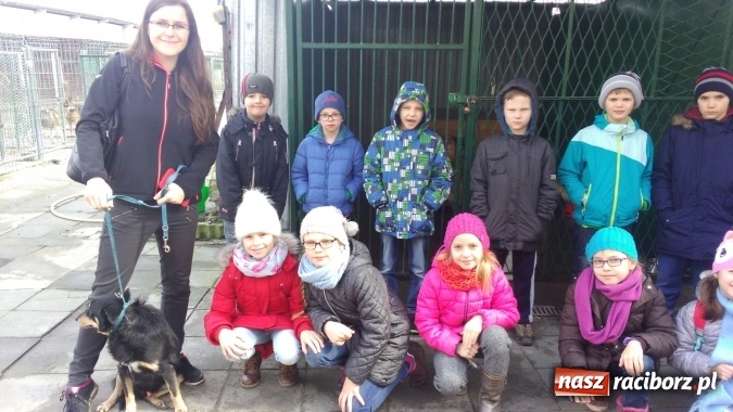 Zdjęcie w galerii na portalu naszraciborz.pl: Pamiętajmy o milusińskich przez cały rok! Wizyta uczniów ZSP nr 3 w raciborskim schronisku  wiadomości z regionu