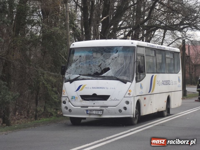 Zdjęcie w galerii na portalu naszraciborz.pl: Gałąź zdemolowała przód autobusu raciborskiego PKS wiadomości z regionu