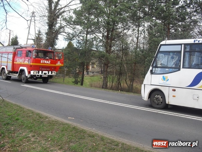 Zdjęcie w galerii na portalu naszraciborz.pl: Gałąź zdemolowała przód autobusu raciborskiego PKS wiadomości z regionu
