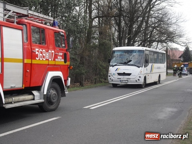 Zdjęcie w galerii na portalu naszraciborz.pl: Gałąź zdemolowała przód autobusu raciborskiego PKS wiadomości z regionu