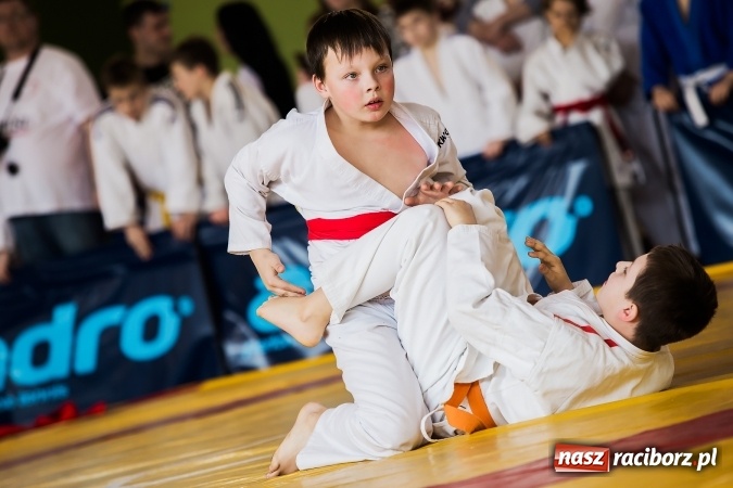 Zdjęcie w galerii na portalu naszraciborz.pl: Ogólnopolska Liga Dzieci i Młodzieży w Ju-Jitsu Sportowym w Kuźni Raciborskiej wiadomości z regionu