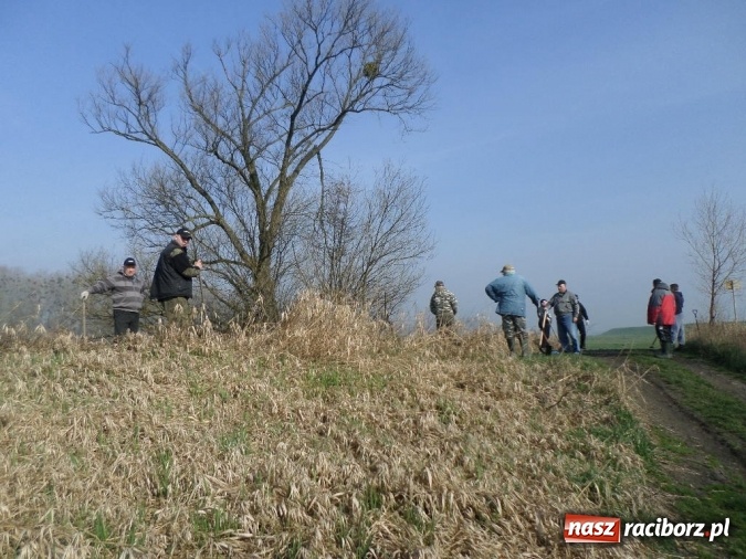 Zdjęcie w galerii na portalu naszraciborz.pl: Wędkarze z koła 46 przygotowali łowisko Łęg do sezonu wiadomości z regionu