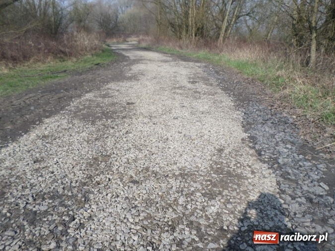 Zdjęcie w galerii na portalu naszraciborz.pl: Wędkarze z koła 46 przygotowali łowisko Łęg do sezonu wiadomości z regionu