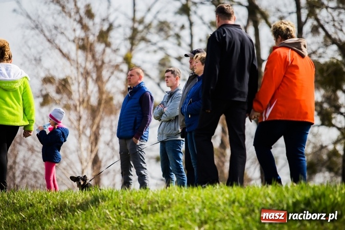 Zdjęcie w galerii na portalu naszraciborz.pl: Amatorski Rajd Samochodowy w Kuźni Raciborskiej już za nami wiadomości z regionu