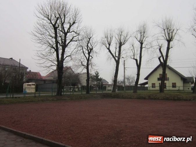 Zdjęcie w galerii na portalu naszraciborz.pl: Bieńkowice walczą o siłownię plenerową w konkursie NESTLE poRUSZA POLSKĘ – i Ty oddaj swój głos!  wiadomości z regionu