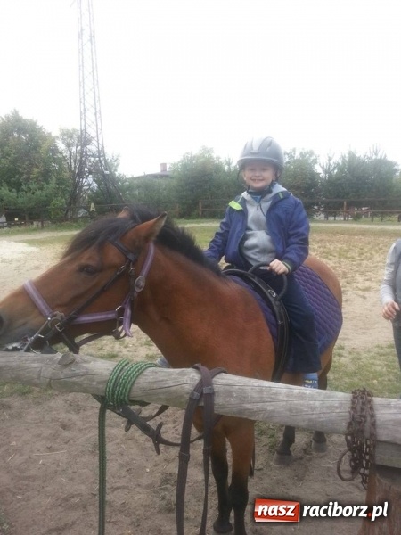 Zdjęcie w galerii na portalu naszraciborz.pl: Nabór do klas dla dzieci i młodzieży z autyzmem i zespołem Aspergera wiadomości z regionu