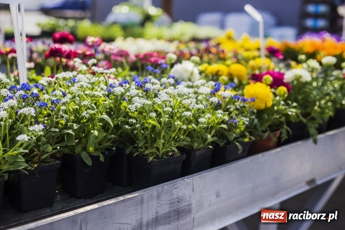 Zdjęcie w galerii na portalu naszraciborz.pl: Dzień dla hobbystów ogrodnictwa – już 9 kwietnia Agro Market zaprasza na dzień otwarty! wiadomości z regionu
