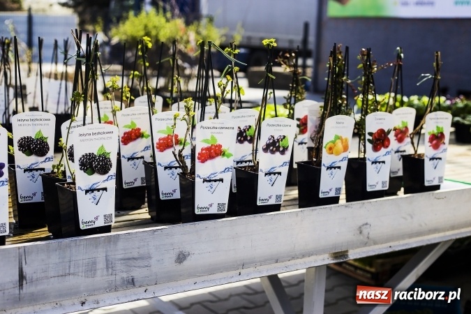 Zdjęcie w galerii na portalu naszraciborz.pl: Dzień dla hobbystów ogrodnictwa – już 9 kwietnia Agro Market zaprasza na dzień otwarty! wiadomości z regionu