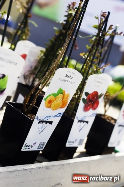 Zdjęcie w galerii na portalu naszraciborz.pl: Dzień dla hobbystów ogrodnictwa – już 9 kwietnia Agro Market zaprasza na dzień otwarty! wiadomości z regionu