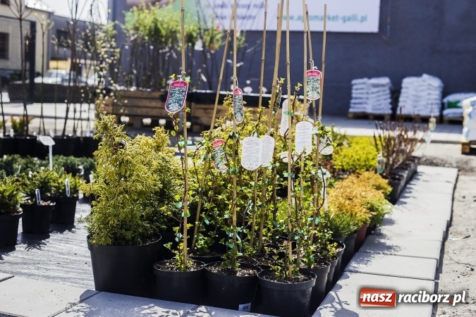 Zdjęcie w galerii na portalu naszraciborz.pl: Dzień dla hobbystów ogrodnictwa – już 9 kwietnia Agro Market zaprasza na dzień otwarty! wiadomości z regionu