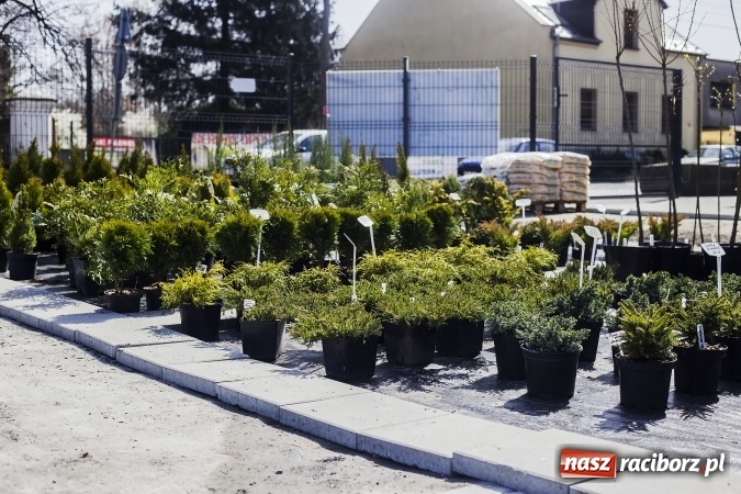 Zdjęcie w galerii na portalu naszraciborz.pl: Dzień dla hobbystów ogrodnictwa – już 9 kwietnia Agro Market zaprasza na dzień otwarty! wiadomości z regionu