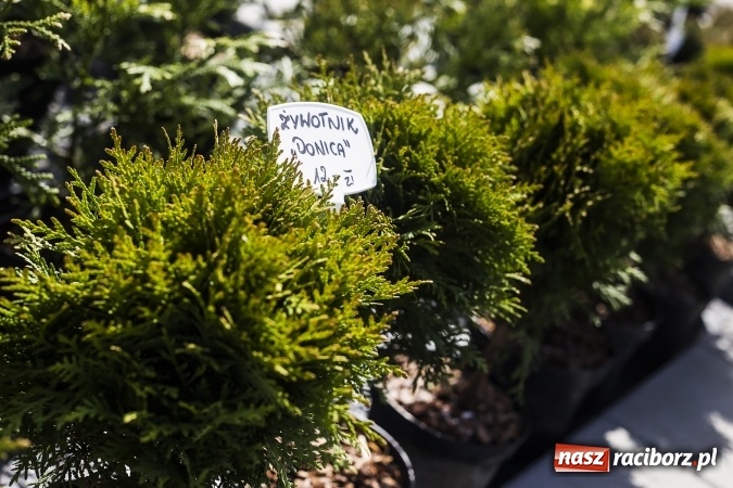 Zdjęcie w galerii na portalu naszraciborz.pl: Dzień dla hobbystów ogrodnictwa – już 9 kwietnia Agro Market zaprasza na dzień otwarty! wiadomości z regionu