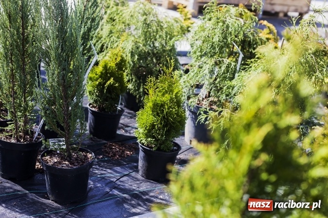 Zdjęcie w galerii na portalu naszraciborz.pl: Dzień dla hobbystów ogrodnictwa – już 9 kwietnia Agro Market zaprasza na dzień otwarty! wiadomości z regionu