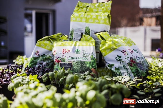 Zdjęcie w galerii na portalu naszraciborz.pl: Dzień dla hobbystów ogrodnictwa – już 9 kwietnia Agro Market zaprasza na dzień otwarty! wiadomości z regionu