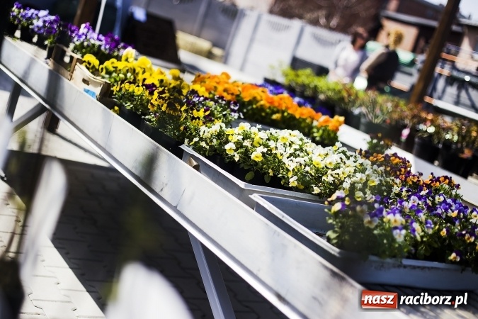 Zdjęcie w galerii na portalu naszraciborz.pl: Dzień dla hobbystów ogrodnictwa – już 9 kwietnia Agro Market zaprasza na dzień otwarty! wiadomości z regionu