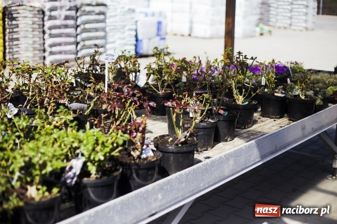 Zdjęcie w galerii na portalu naszraciborz.pl: Dzień dla hobbystów ogrodnictwa – już 9 kwietnia Agro Market zaprasza na dzień otwarty! wiadomości z regionu