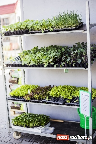 Zdjęcie w galerii na portalu naszraciborz.pl: Dzień dla hobbystów ogrodnictwa – już 9 kwietnia Agro Market zaprasza na dzień otwarty! wiadomości z regionu