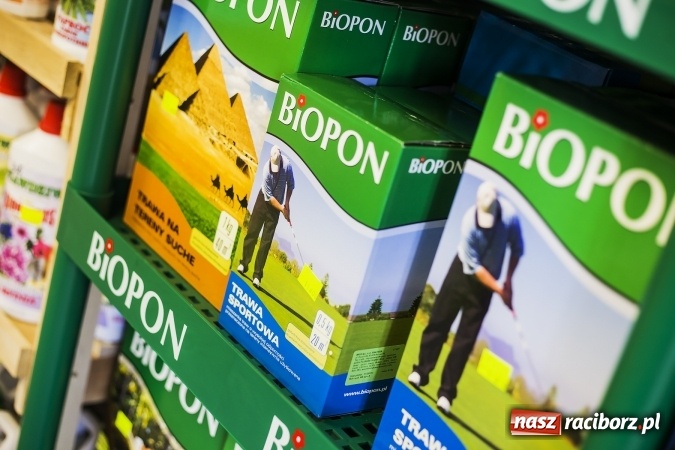 Zdjęcie w galerii na portalu naszraciborz.pl: Dzień dla hobbystów ogrodnictwa – już 9 kwietnia Agro Market zaprasza na dzień otwarty! wiadomości z regionu