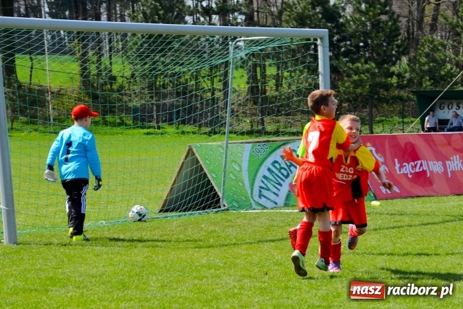 Zdjęcie w galerii na portalu naszraciborz.pl: UKS Waleczni Nędza na Pucharze Tymbarku. Ajaks Częstochowa lepszy w ćwierćfinale wiadomości z regionu