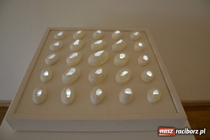 Zdjęcie w galerii na portalu naszraciborz.pl: PALIMPSESTY - wernisaż prac Joanny Apanowicz na zamku wiadomości z regionu