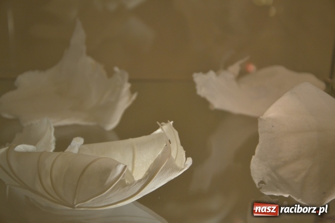 Zdjęcie w galerii na portalu naszraciborz.pl: PALIMPSESTY - wernisaż prac Joanny Apanowicz na zamku wiadomości z regionu