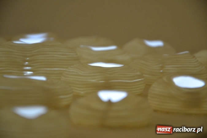 Zdjęcie w galerii na portalu naszraciborz.pl: PALIMPSESTY - wernisaż prac Joanny Apanowicz na zamku wiadomości z regionu