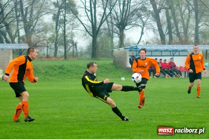 Zdjęcie w galerii na portalu naszraciborz.pl: Rogalskiego i Wojdy polowanie na Wilki wiadomości z regionu