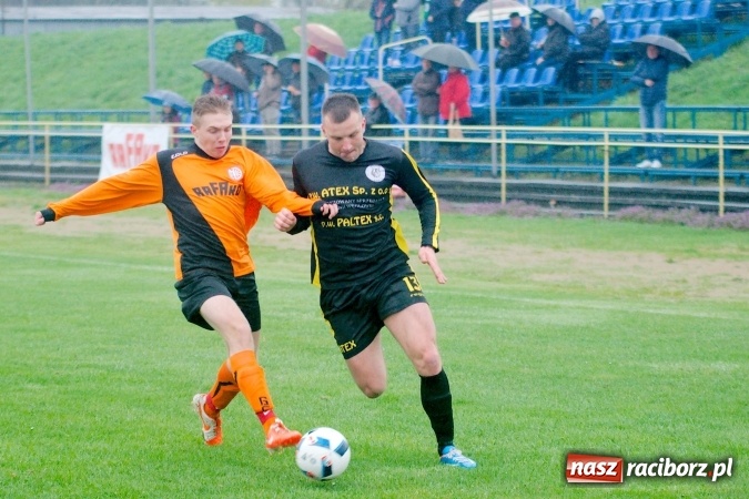 Zdjęcie w galerii na portalu naszraciborz.pl: Rogalskiego i Wojdy polowanie na Wilki wiadomości z regionu