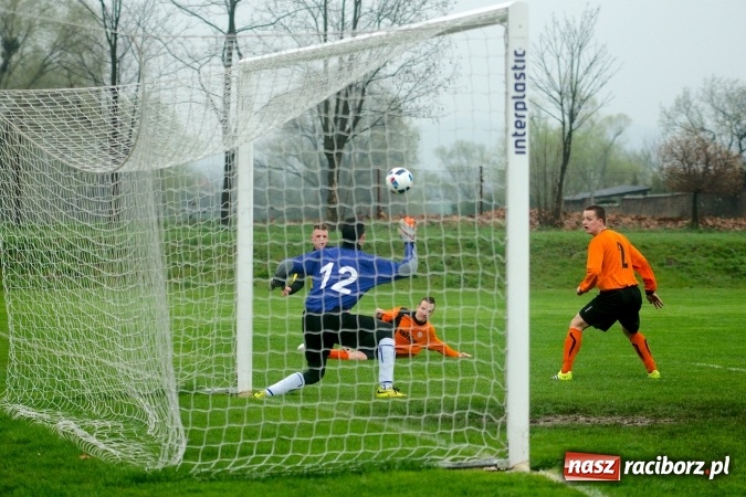 Zdjęcie w galerii na portalu naszraciborz.pl: Rogalskiego i Wojdy polowanie na Wilki wiadomości z regionu